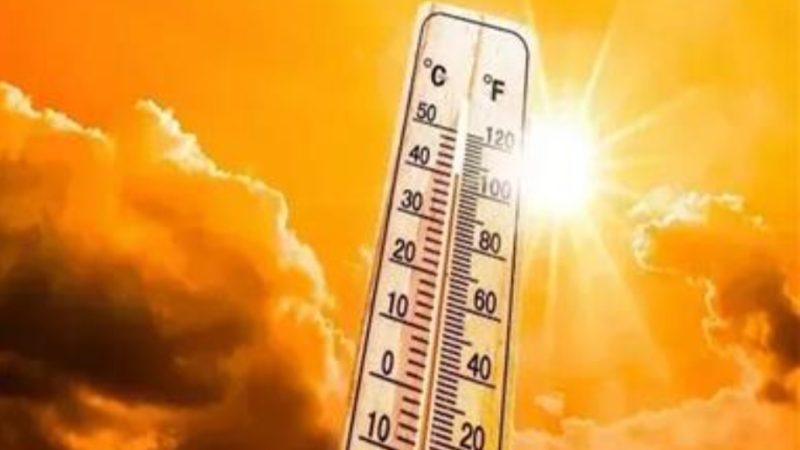 ارتفاع الحرارة وشبورة بهذه المناطق.. الارصاد تحذر من الطقس غدًا الثلاثاء