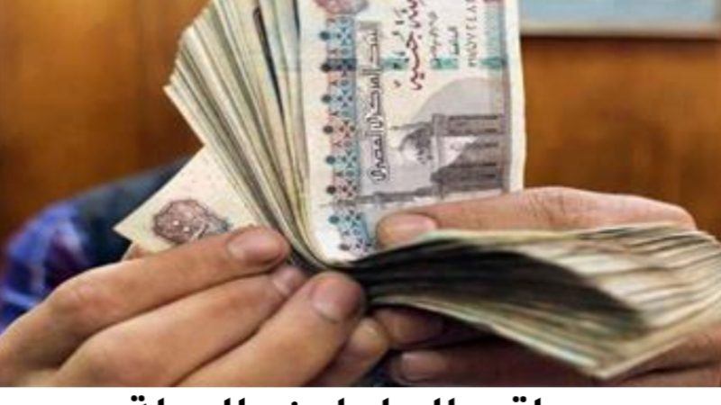 المالية تعلن توقيت صرف 3 أشهر للعاملين بالدولة