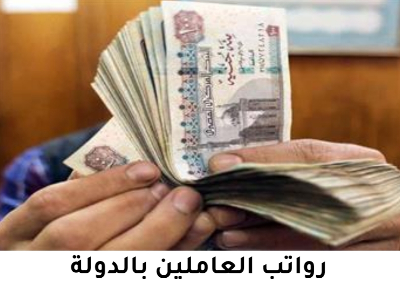 المالية تعلن توقيت صرف 3 أشهر للعاملين بالدولة